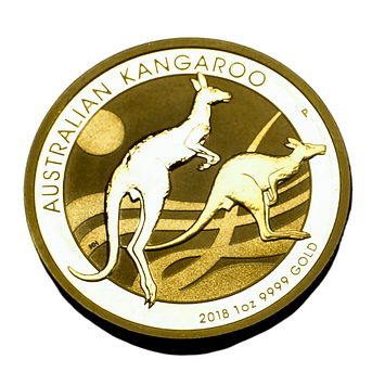 gold coin kangaroo