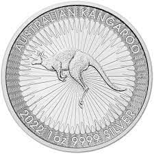 Australian Silver Kangaroos
