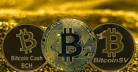 Bitcoin-Cash-BCH